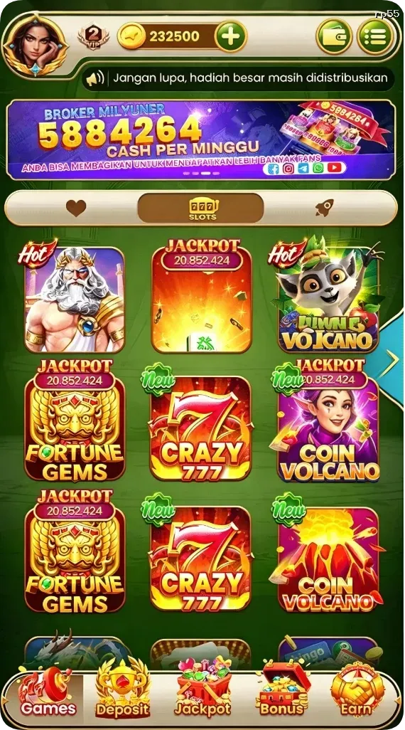 rp55 APK